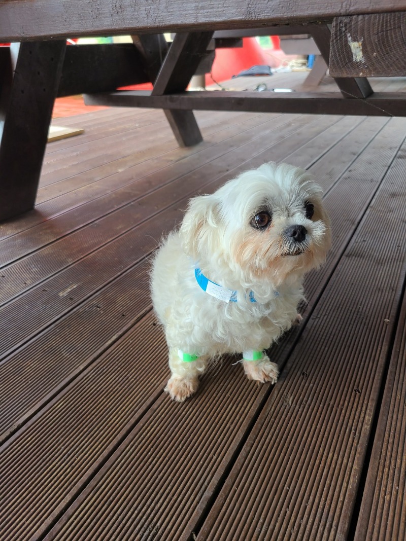 KakaoTalk_20220609_192938713.jpg